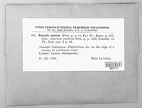Image Associated With the Occurence